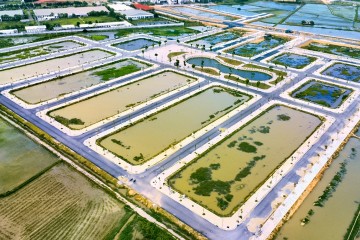 Cập nhật tiến độ thi công tháng 6/2022 - Dự án Hạ tầng kỹ thuật khu dân cư mới Đồng Nam, xã Đông Khê, huyện Đông Sơn, tỉnh Thanh Hóa