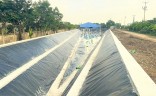 Cập nhật tiến độ thi công dự án tháng 05/2023 – Hạng mục phát sinh “Hồ điều hòa chứa nước sau xử lý” và hạng mục nhà phụ trợ thuộc “ Dự án Nhà máy dệt và may trang phục Ramatex Nam Định - giai đoạn 1” 