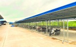 2023年06月份更新的施工进度 - Ramatex南定纺织和制衣厂第一期项目车棚 - 垃圾房 - 化学品仓库的追加工程