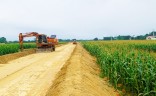 2022年12月の建設進捗状況の更新 - Tho Xuan町からLam son -sao vang都市までの道路プロジェクト
