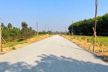 2023年03月份更新的施工进度 - 自寿春县春兴乡连接到寿春镇接至蓝山-金星城市区的道路项目