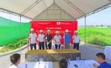 清化省寿春县春和-寿海住宅区技术基础设施项目奠基仪式